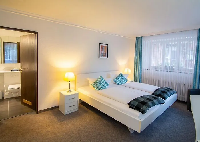 Hotel Adler - Weil Am Rhein